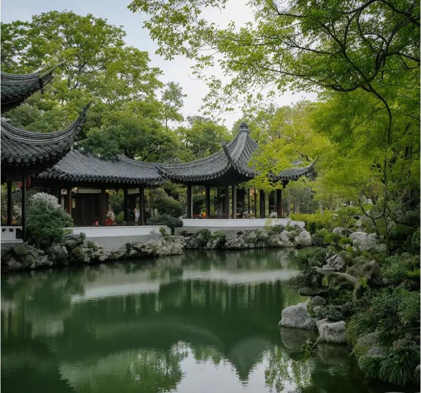 朝阳雪柳餐饮有限公司